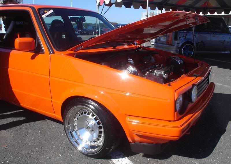 show n go VW Vortex Volkswagen Forum